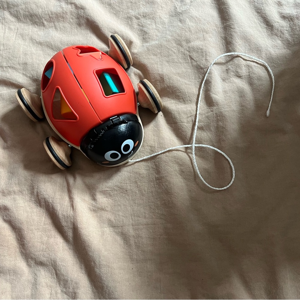Wooden Pull-Along Ladybug Toy - Red